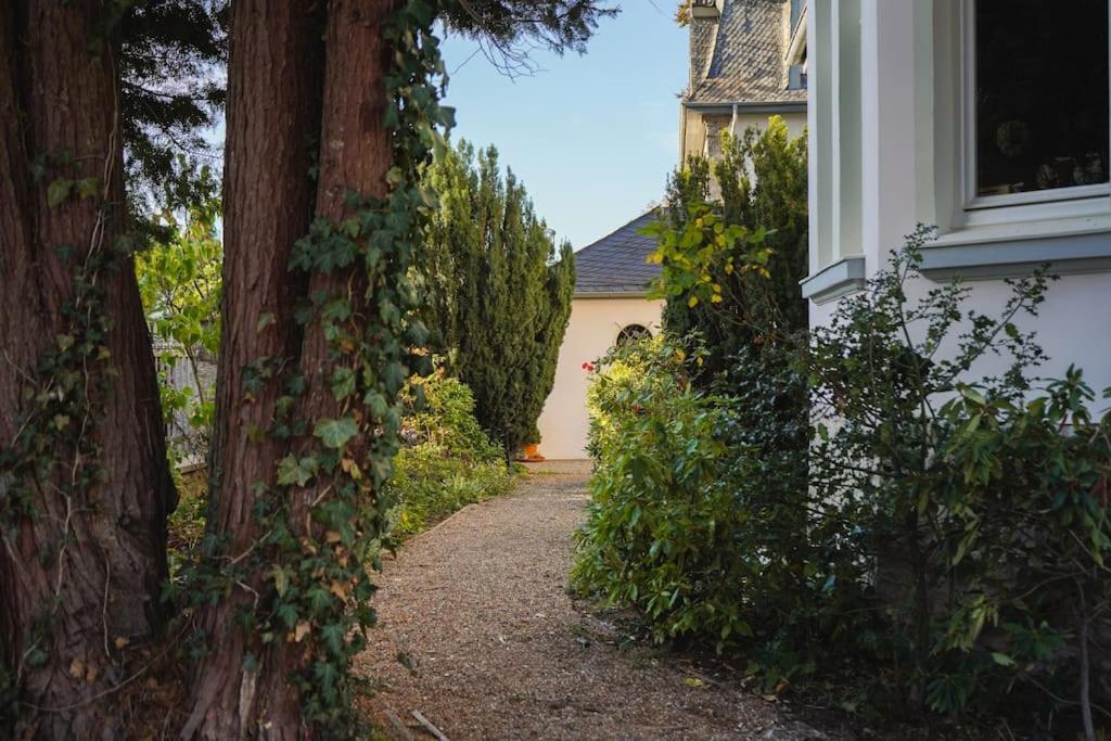 Villa Rosa - Sky Detmold Exterior photo
